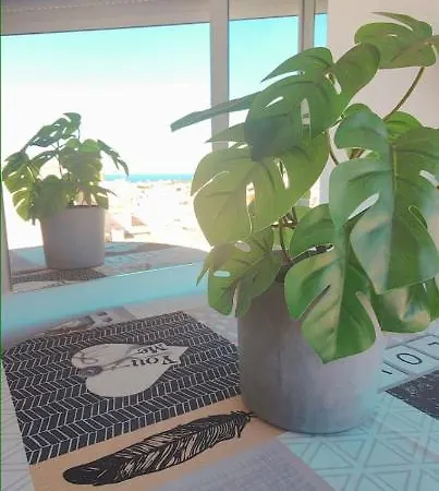 Avenida Palma De Mallorca Center With Sea Views By Namaste Elite *